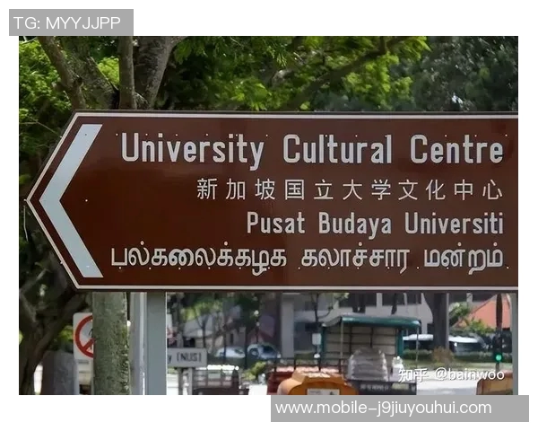 马来西亚与新加坡的文化碰撞与经济合作探讨